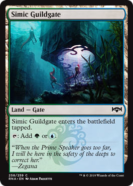 Simic Guildgate 2 (Ravnica Allegiance) Near Mint