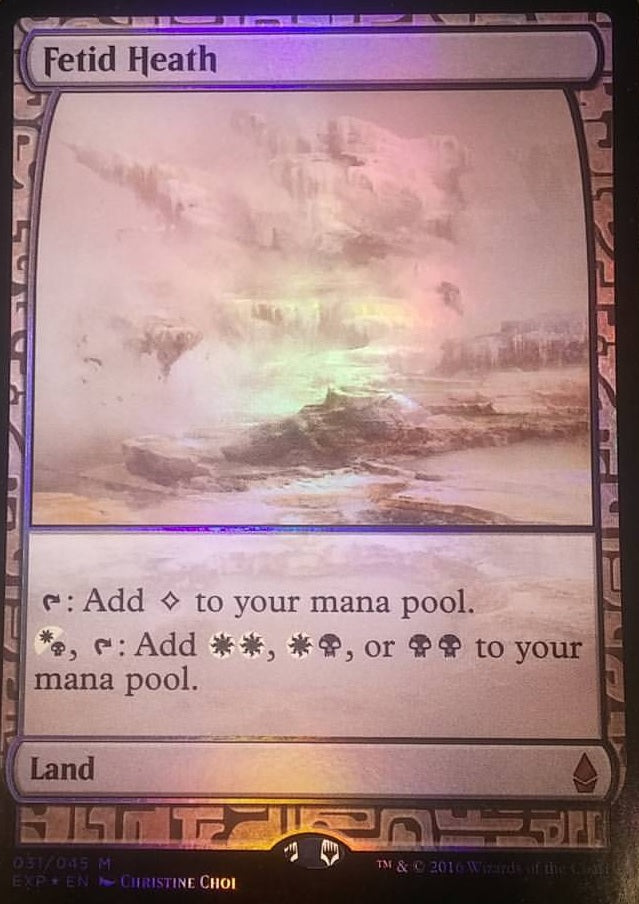 Fetid Heath (Zendikar Expeditions) Near Mint Foil