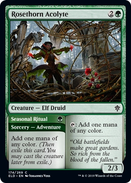 Rosethorn Acolyte (Throne of Eldraine) Near Mint Foil
