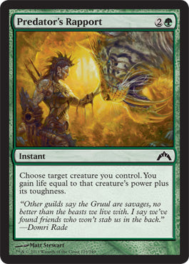 Predator's Rapport (Gatecrash) Medium Play