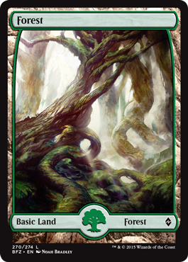 Forest (270) (Full Art) (Battle for Zendikar) Near Mint