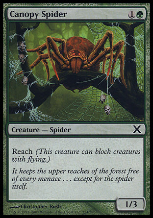 Canopy Spider (10th Edition) Heavy Play