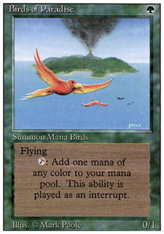 Birds of Paradise (Revised) Medium Play