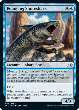 Pouncing Shoreshark (Ikoria: Lair of Behemoths) Near Mint