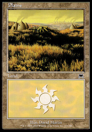 Plains (333) (Onslaught) Medium Play