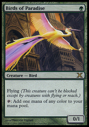 Birds of Paradise (10th Edition) Light Play