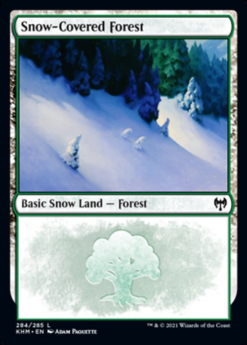 Snow-Covered Forest (284) (Kaldheim) Near Mint