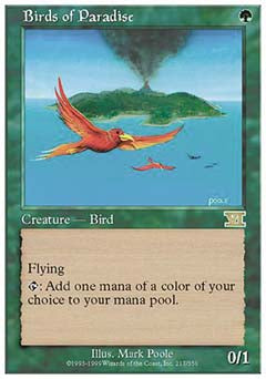 Birds of Paradise (Classic 6th Edition) Near Mint