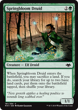 Springbloom Druid (Modern Horizons) Near Mint