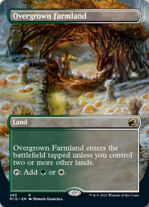 Overgrown Farmland (Borderless) (Innistrad: Midnight Hunt) Near Mint