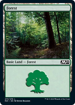 Forest (273) (Magic 2021 Core Set) Light Play