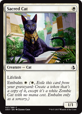 Sacred Cat (Amonkhet) Medium Play