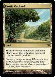Exotic Orchard (Conflux) Light Play