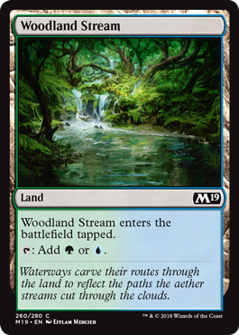Woodland Stream (Magic 2019 Core Set) Medium Play Foil