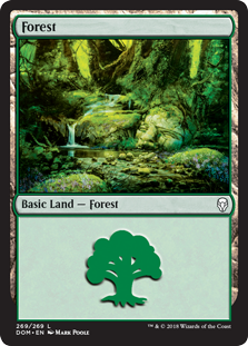 Forest (269) (Dominaria) Light Play