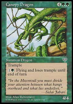 Canopy Dragon (Mirage) Medium Play