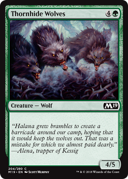 Thornhide Wolves (Magic 2019 Core Set) Medium Play