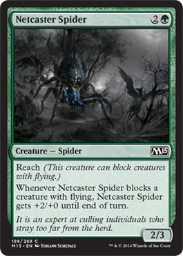 Netcaster Spider (Magic 2015 Core Set) Medium Play