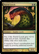 Putrid Leech (Duel Decks: Izzet vs Golgari) Medium Play