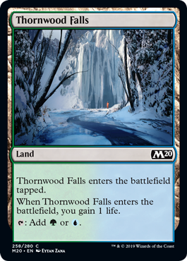 Thornwood Falls (Magic 2020 Core Set) Heavy Play