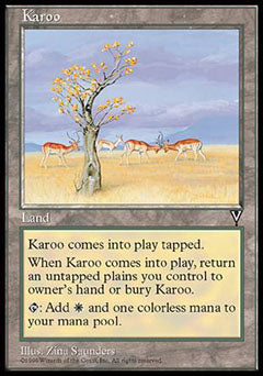 Karoo (Visions) Medium Play