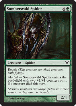 Somberwald Spider (Innistrad) Medium Play