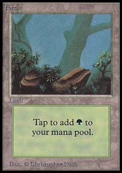 Forest (Beta) Medium Play