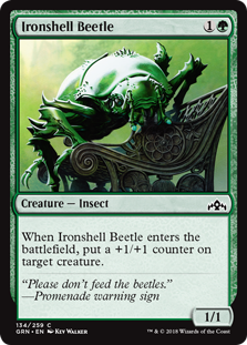 Ironshell Beetle (Guilds of Ravnica) Near Mint