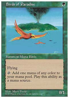 Birds of Paradise (5th Edition) Near Mint