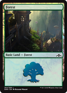 Forest (Guilds of Ravnica) Near Mint Foil