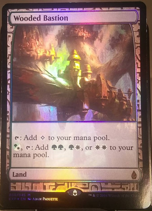 Wooded Bastion (Zendikar Expeditions) Near Mint Foil