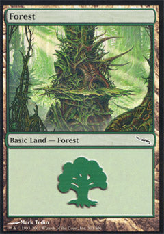 Forest (303) (Mirrodin) Heavy Play