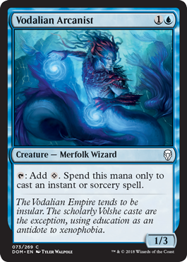 Vodalian Arcanist (Dominaria) Near Mint