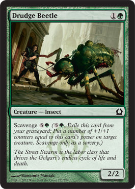 Drudge Beetle (Return to Ravnica) Medium Play Foil