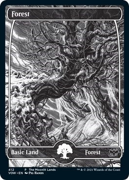 Forest (Moonlit Land) (Foil Etched) (Promos: WPN and Gateway) Medium Play Foil